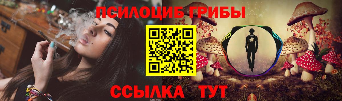 Фурманов  где можно купить   Вход с VPN  Псилоцибиновые грибы Magic Shrooms 